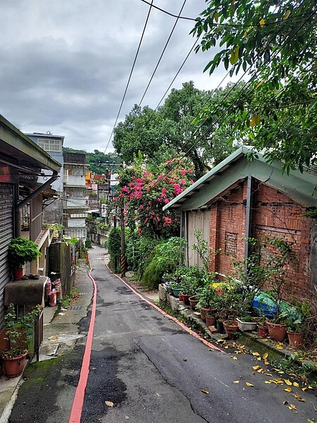 長到沒盡頭的斜坡。圖／易小滿攝

