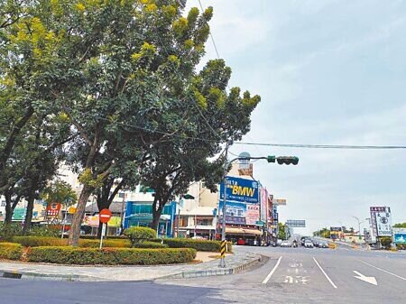台18線原起點在嘉義市博愛陸橋與忠孝路、博東路口,未來永久性地標設置將選在路口的綠帶上。圖/記者廖素慧攝影