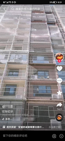 網友拍攝視頻稱，唐山一小區居民樓密密麻麻地裝有防護網。圖／取材自澎湃新聞