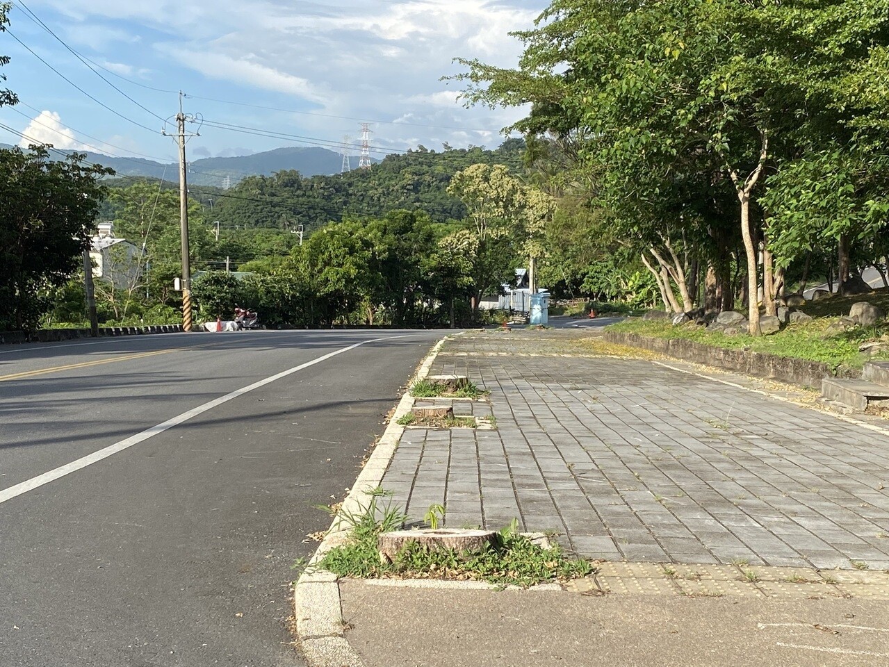 台鐵大武火車站前200公尺木棉道，因掉落花朵及棉絮影響附近居民，台鐵台東工務段原訂將數十棵樹齡近30年的木棉樹「移植」，卻全數遭「砍頭」。記者尤聰光／攝影 