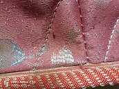 他確診居家1晚狂殺20隻怪蟲　過來人驚「比蟑螂恐怖」：會吸血