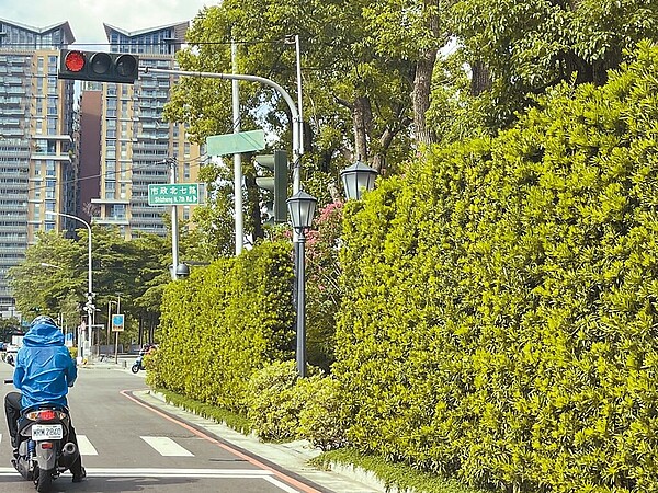 位於台中市七期市政北七路、朝富路口的人行道，轉角兩側都被認養單位栽種滿植栽牆，阻礙駕駛人視線。（市議員陳政顯提供／林欣儀台中傳真）