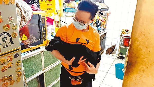 「巴克幫」動物保護團體專程到泰山區評估犬隻狀況,並認養了7隻小黑狗。(新北市動保處提供/王揚傑新北傳真)