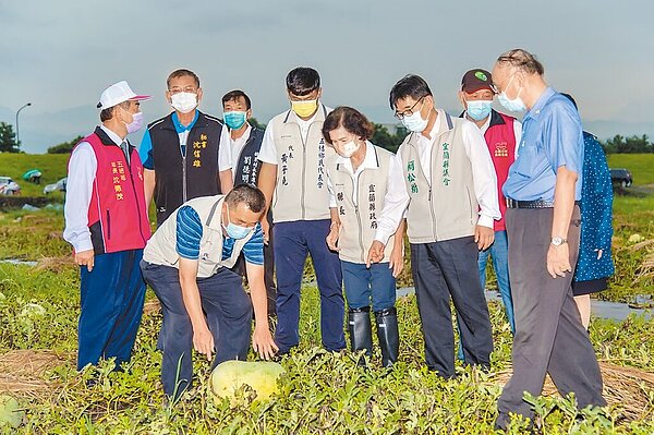 宜蘭縣五結鄉西瓜、洋香瓜因連日下雨造成果裂,農民損失慘重,宜蘭縣長林姿妙前往勘查,為農民爭取農業天然災害現金救助,減輕農友損失及負擔。(宜蘭縣政府提供/吳佩蓉宜蘭傳真)