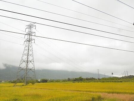 
台電37年前在花蓮縣壽豐鄉樹湖村設置高達23座電塔，電纜、基座多位於平原農地，地主變賣不易，盼能逐步遷移電塔或將電纜地下化。（羅亦攝）
