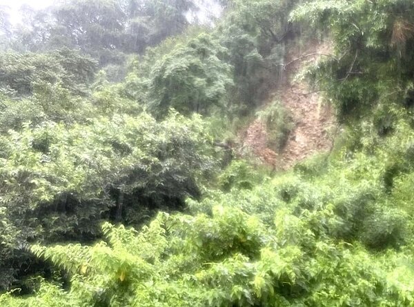 台中市后里眉豐路邊坡1418保安林地土石崩落點，離民宅和工廠只有幾步距離，崩落高度達20公尺。圖／楊瓊瓔辦公室提供
