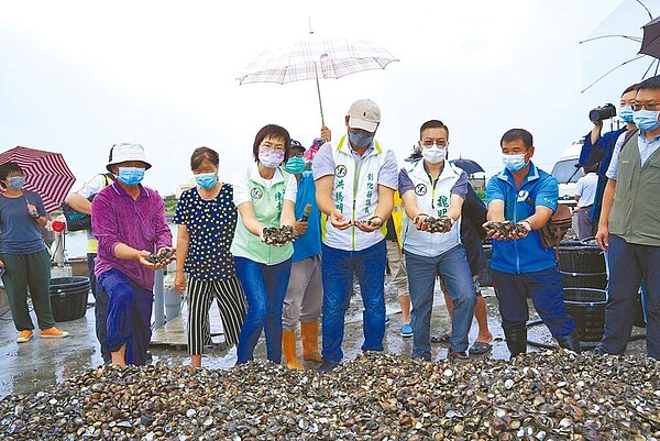 連續豪雨,彰化沿海養殖文蛤死亡近9成。(陳素月提供/吳敏菁彰化傳真)