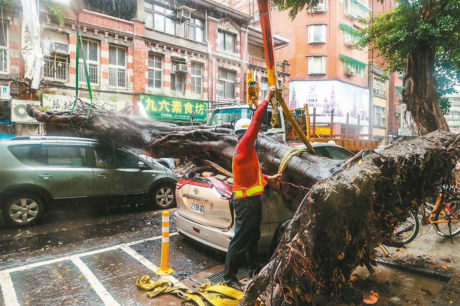 台北市永樂國小附近行道樹7日突然倒塌，壓毀周邊車輛及民宅。記者曾原信／攝影 