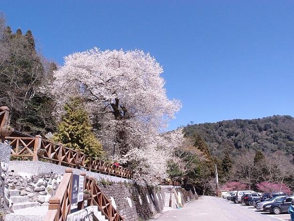 鼓勵搭乘大眾運輸，竹縣預計新增3公車路線。圖／新竹縣交旅處提供