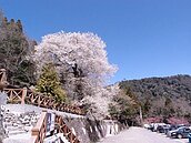 觀光更方便！　竹縣預計新增3公車路線