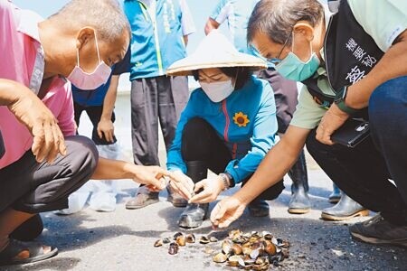 
雲林縣長張麗善（中）接獲漁民陳情文蛤暴斃，13日到口湖鄉勘災，初勘已達現金救助標準。（周麗蘭攝）
