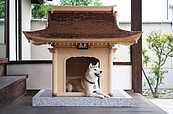 真的好狗命！日本推超奢華445萬狗屋「犬殿」　網友傻眼：比我家還貴