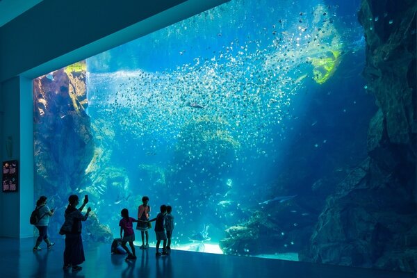 觀光人潮熱絡的Xpark水族館。圖／昆旺建設提供 
