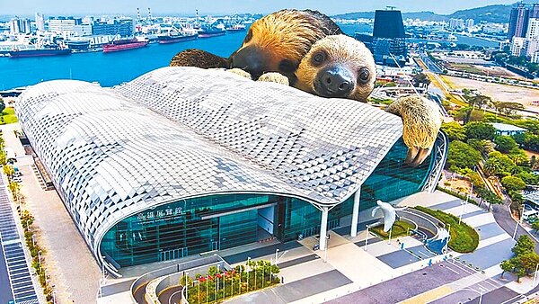 壽山動物逛大街,樹懶寶寶跟著媽媽一起到高雄展覽館吹冷氣看2022台灣文博會。圖/高市觀光局提供