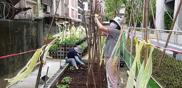 里中長者在菜園中育苗，揮灑汗水。圖／歐秀珠里長提供