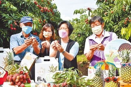 彰化縣長王惠美17日上午前往芬園鄉訪查荔枝園,驚艷玫瑰紅的獨特香氣,還示範一捏果皮就裂兩半。(吳敏菁攝)