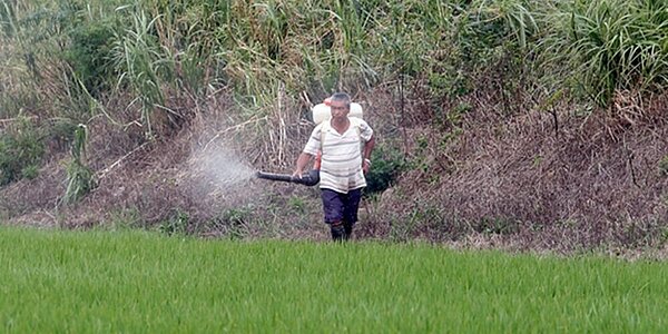 主計總處公布2020年農林漁牧業普查結果,農牧戶管理者平均年齡升至64.44歲,20年來增加近6歲。圖/中時報系資料照