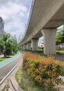 中市府核定首批鐵路高架橋下10場停車場　預計11月正式營運