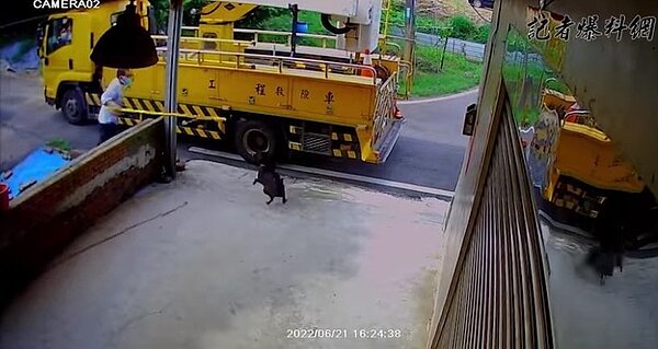 台電人員被狗撲咬後，疼痛持低壓防護線管打狗惹議。圖／翻攝自記者爆料網2.0