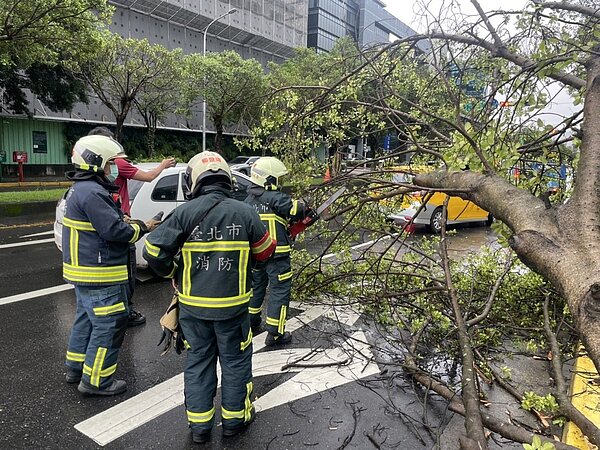 消防員到場排除路樹。圖／記者李隆揆翻攝
