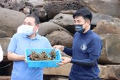 新北市山海造林計畫啟動　貢寮卯澳灣將種500株珊瑚
