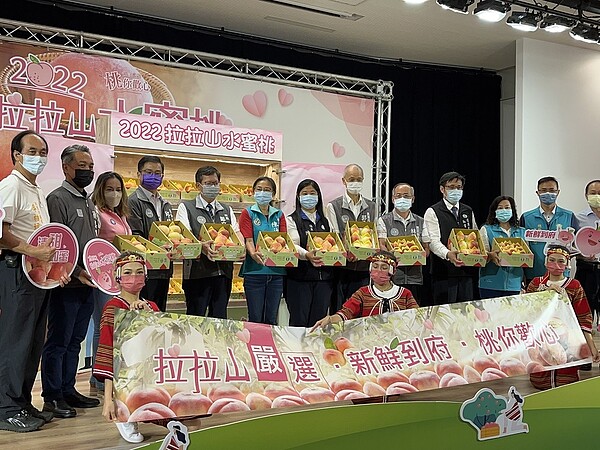 桃園拉拉山水蜜桃進入產期,市府舉辦活動推廣。記者朱冠諭/攝影