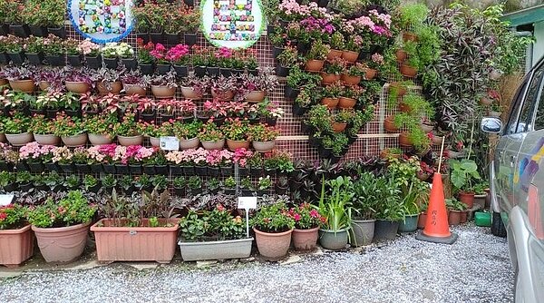 新北市永和區秀朗里沈賜是里長美化里區。圖/取自「美麗秀朗里-沈賜是里長」臉書