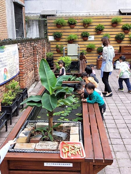 永和區信義里里長莊瑞雲打造魚菜共生。(圖/擷取自永和信義里後溪里臉書粉絲專頁)