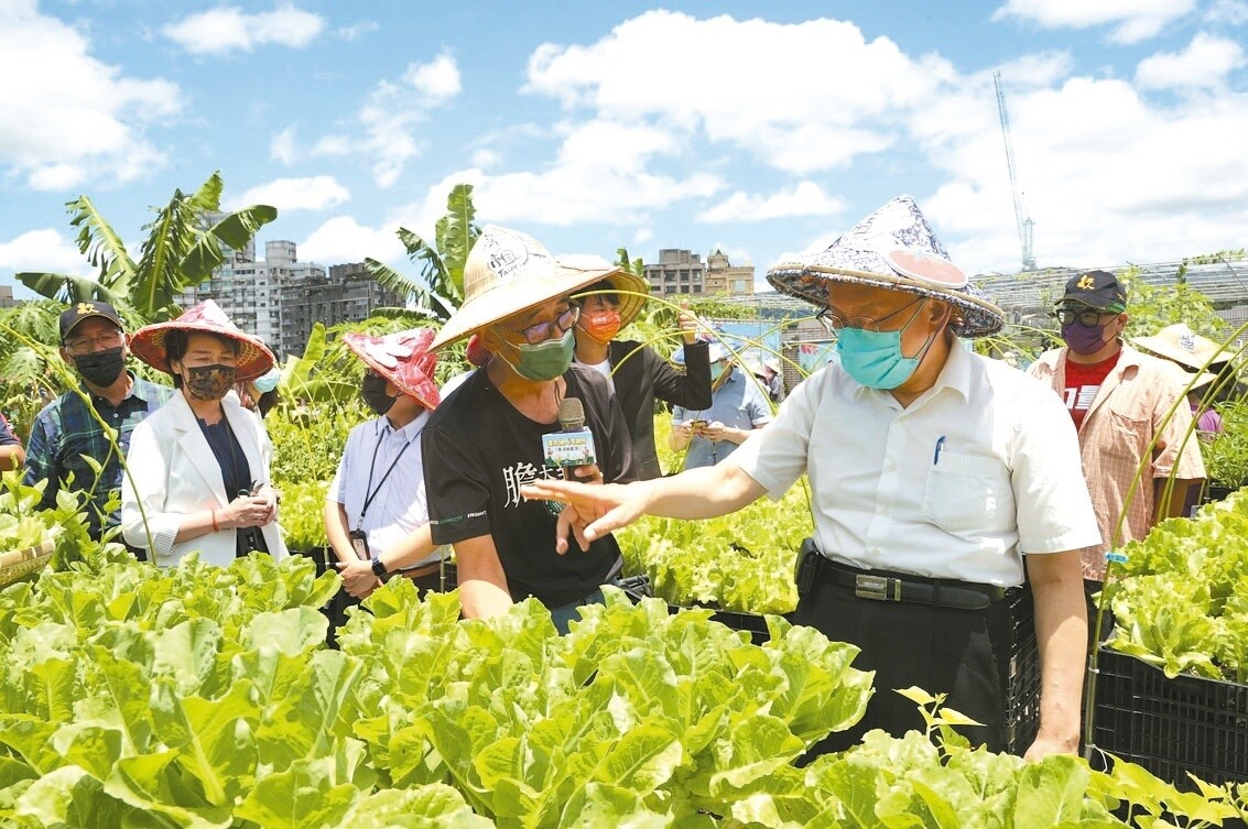 台北市長柯文哲（右一）昨天與副市長黃珊珊（左二）一同出席「東湖綠屋頂植人培訓所」分享會，也親自採摘成熟蔬果，體驗市區中的田園之樂。記者林俊良／攝影 