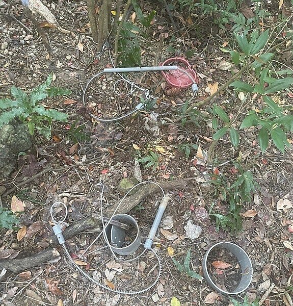 新北市動物保護自治條例規定主管機關得逕予排除、拆除或銷燬獸鋏或金屬材質之套索陷阱,土地所有權人、使用人或管理人不得拒絕。圖/新北市動保處提供