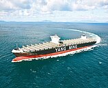 除息前買進陽明...一直跌該停損嗎？　網：息要填得起來才重要