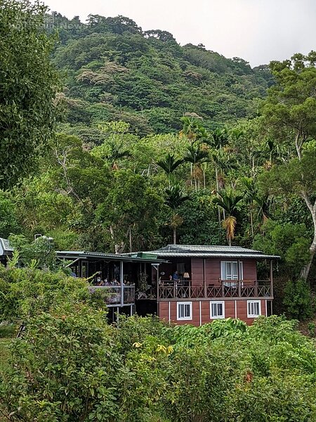 台東_星龍花園5