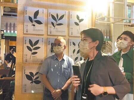 台電要求台北市東區門戶計畫新大樓同意限電，副市長黃珊珊5日痛批台電是落後部署。（張芷瑜攝）