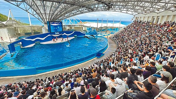 線上旅遊平台易遊網表示,6月底單周國旅訂房營收破億,是疫情以來新高。圖為花蓮遠雄海洋公園。(遠雄海洋公園提供/羅亦晽花蓮傳真)