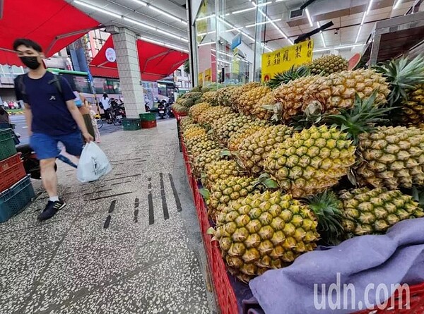 台灣鳳梨產季、外銷旺季都已進入尾聲，但根據農委會資料顯示，到今年7月5日止，整體鳳梨外銷量約2萬公噸，距離農委會主委陳吉仲多次對外喊出的目標外銷3萬公噸，差了近1萬公噸、少1/3。記者葉信菉／攝影