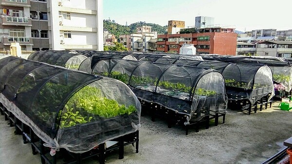 萬和里推動田園城市，將綠意籠罩里內帶來新氣象。圖／取自吳祚榮臉書
