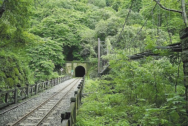 嘉義縣振興觀光產業祭出「團體旅遊」及「自由行Q碰券」等2大觀光補助方案，總補助金額高達6000萬元。圖為嘉義縣獨立山步道。（嘉義縣政府提供／廖素慧嘉縣傳真）