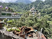 谷關千年「五葉松神木」倒了！一旁飯店遭波及幸無傷亡