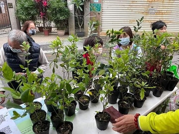 種下樹苗,展現活潑明亮的植物綠能。圖/易小滿攝