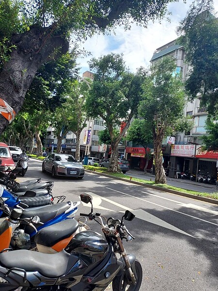 朝盡善盡美做目標,天祿里悠然自得。圖/易小滿攝