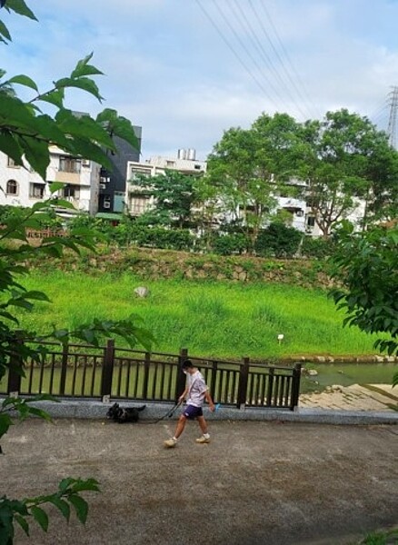 綠蔭深處聞啼鳥，柳絲兒不住，隨風飄。圖／易小滿攝