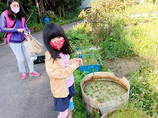 小朋友觀賞生態池，具教育意義。圖／里辦提供

