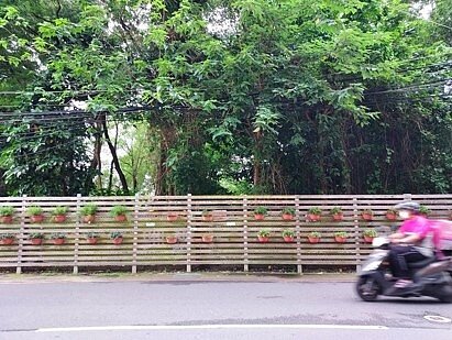 火車站出口廢墟，築花牆遮醜。圖／易小滿攝