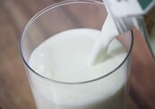 見「100%乳含量」是買到奶粉還鮮乳？內行曝絕招：一秒認出