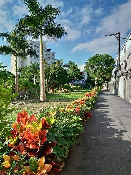 歲月靜好，社區安詳。圖／易小滿攝