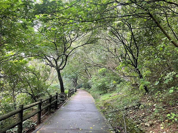 五股水碓觀景公園綠意盎然的森林步道。圖／新北市景觀處提供