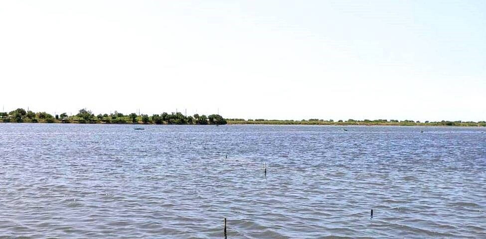 台南海水淡化廠環評過關,圖為預定地現址。記者謝進盛/攝影