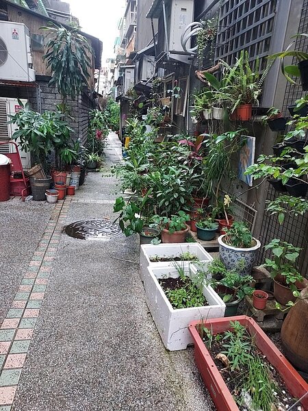 整建後的防火巷飄起涼風與花香。圖／易小滿攝