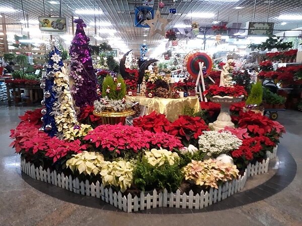 過去花木市場內花草、盆栽眾多，五彩斑斕。圖／里長徐福進提供