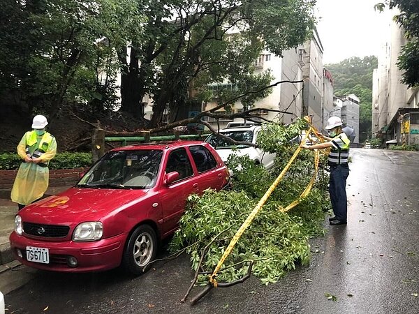 防災應變小組協助處理颱風吹落枝條。圖/里長陳忠榮提供